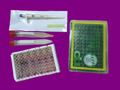 PTS Diagnostics